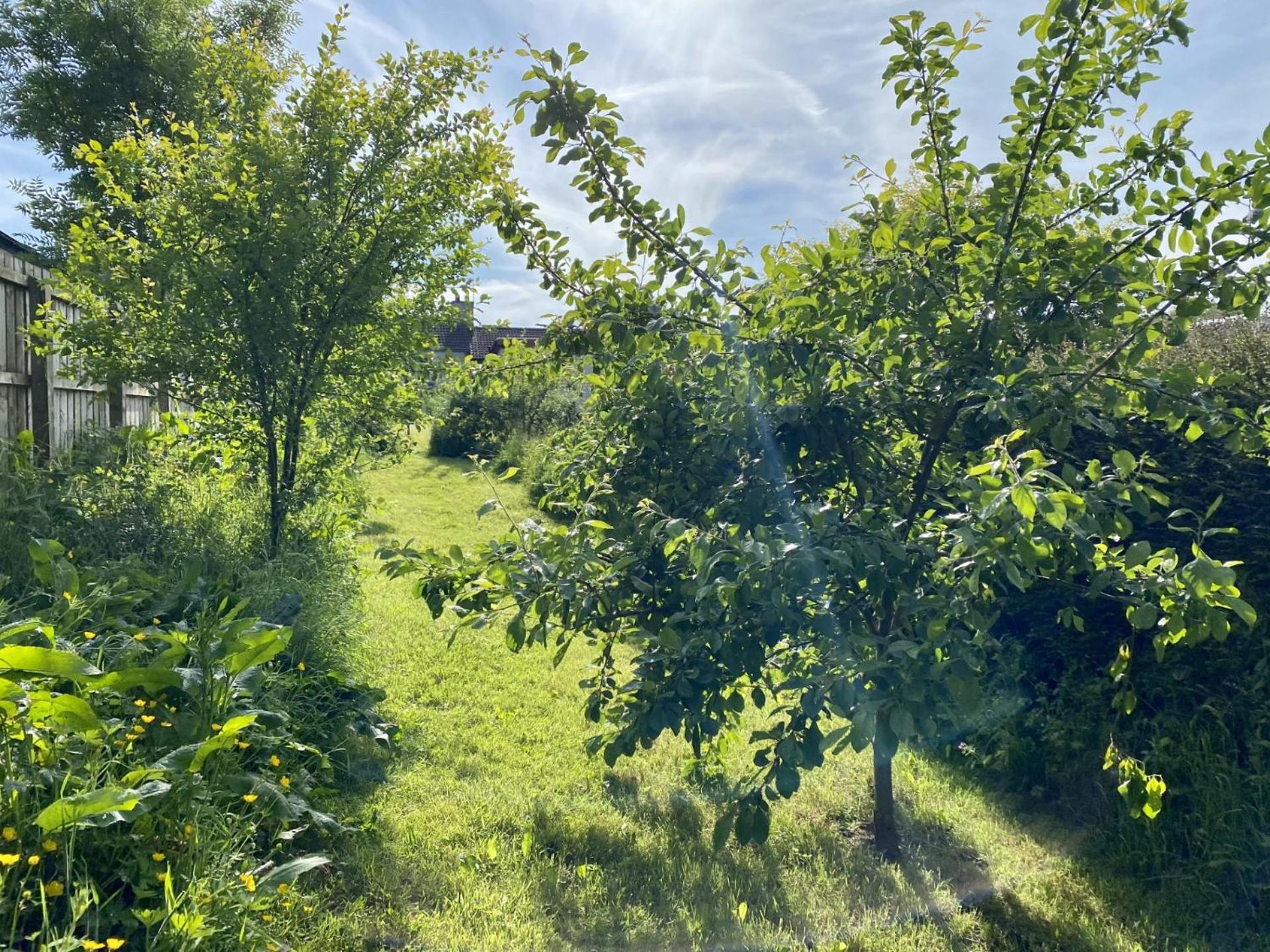Fairhill Cottage Perfect Location With Garden In Central Ballycastle Esterno foto
